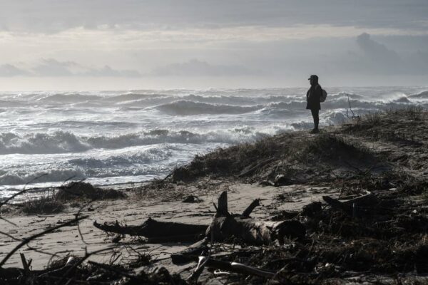 ILLUSTRATION GRANDE MARÉE 
L'érosion du littoral de l'île d'Oléron a la pointe de Gatseau. Saint-Trojan, le 11 03 2024. PHOTO XAVIER LEOTY